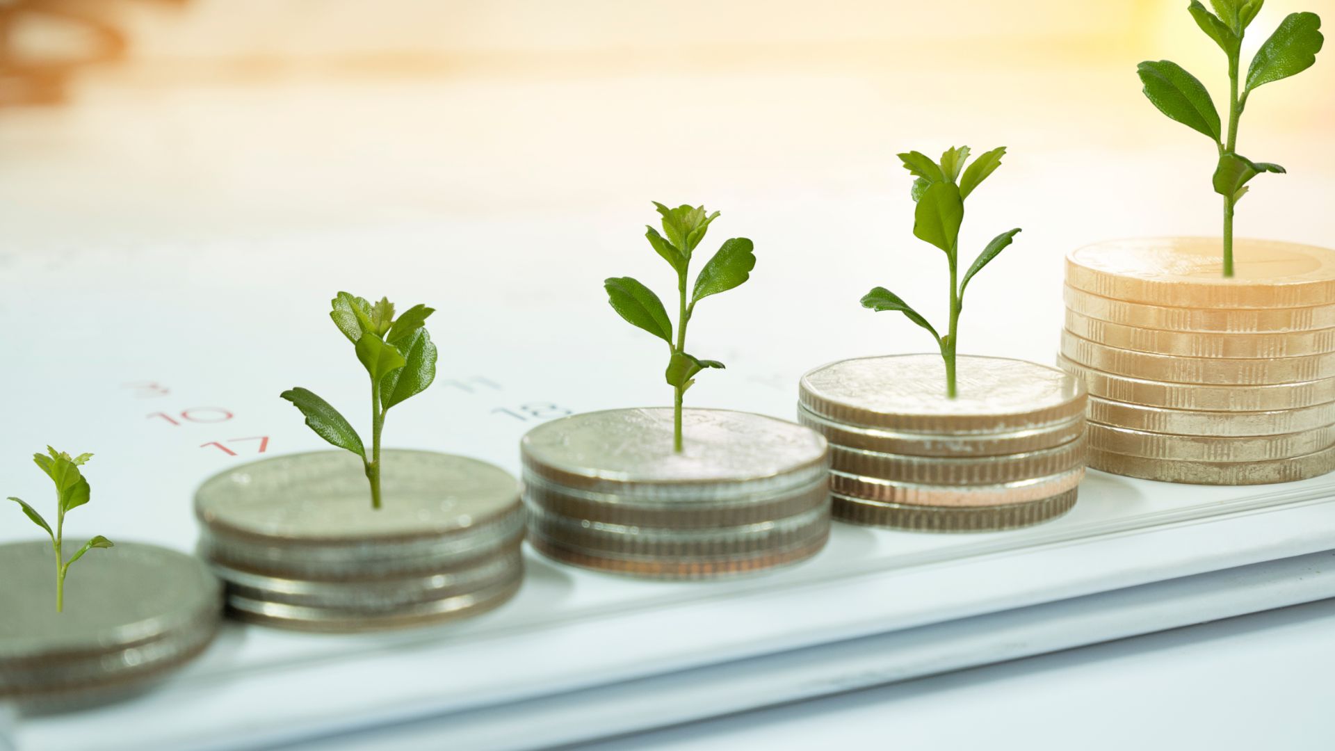 Coins with plants growing on them symbolizing SEO cost